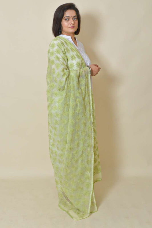 Fabnuma Handcrafted Light Green Georgette Allover Tepchi Chikankari Dupatta - Fabnuma