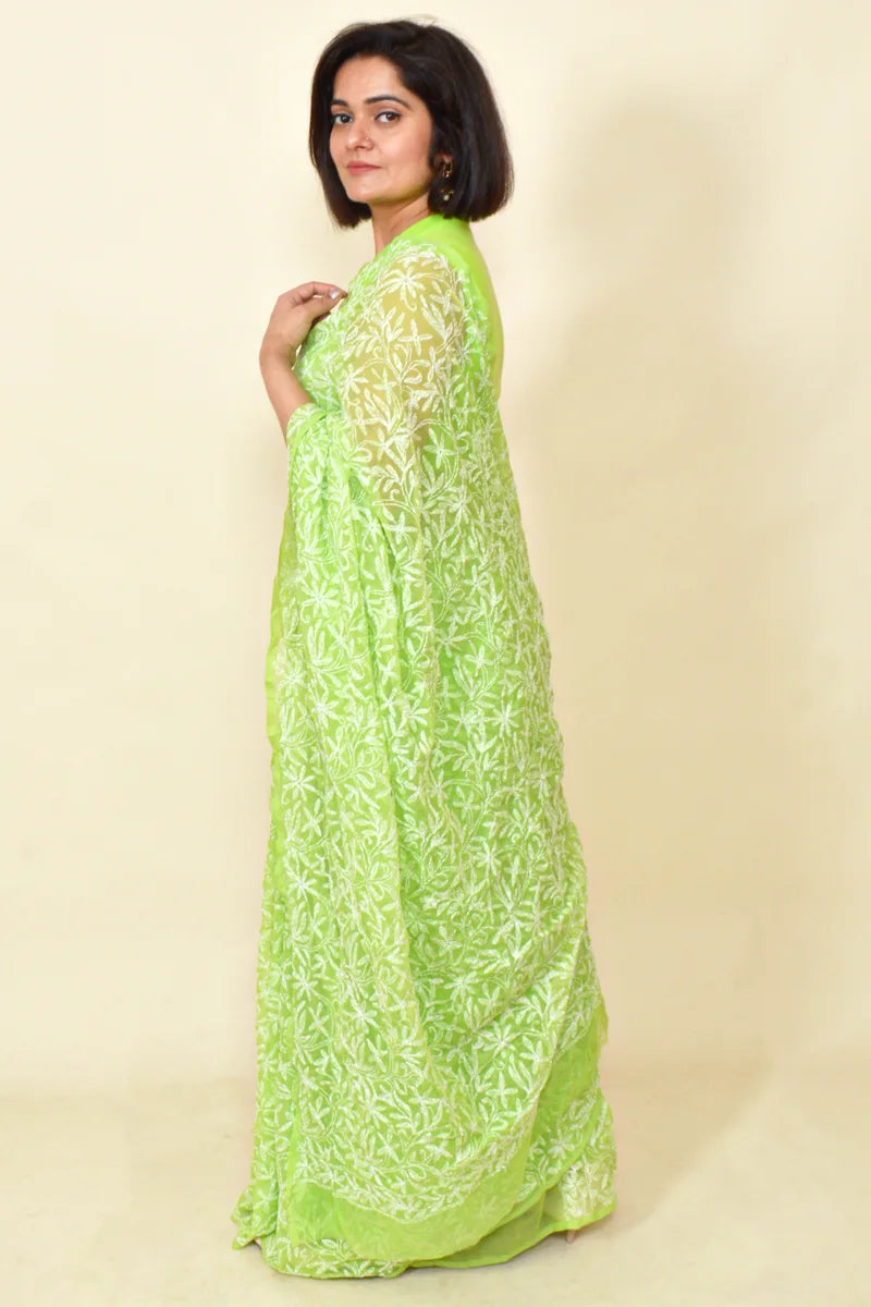 Fabnuma Handcrafted Light Green Georgette Tepchi Chikankari Saree & Blouse - Fabnuma