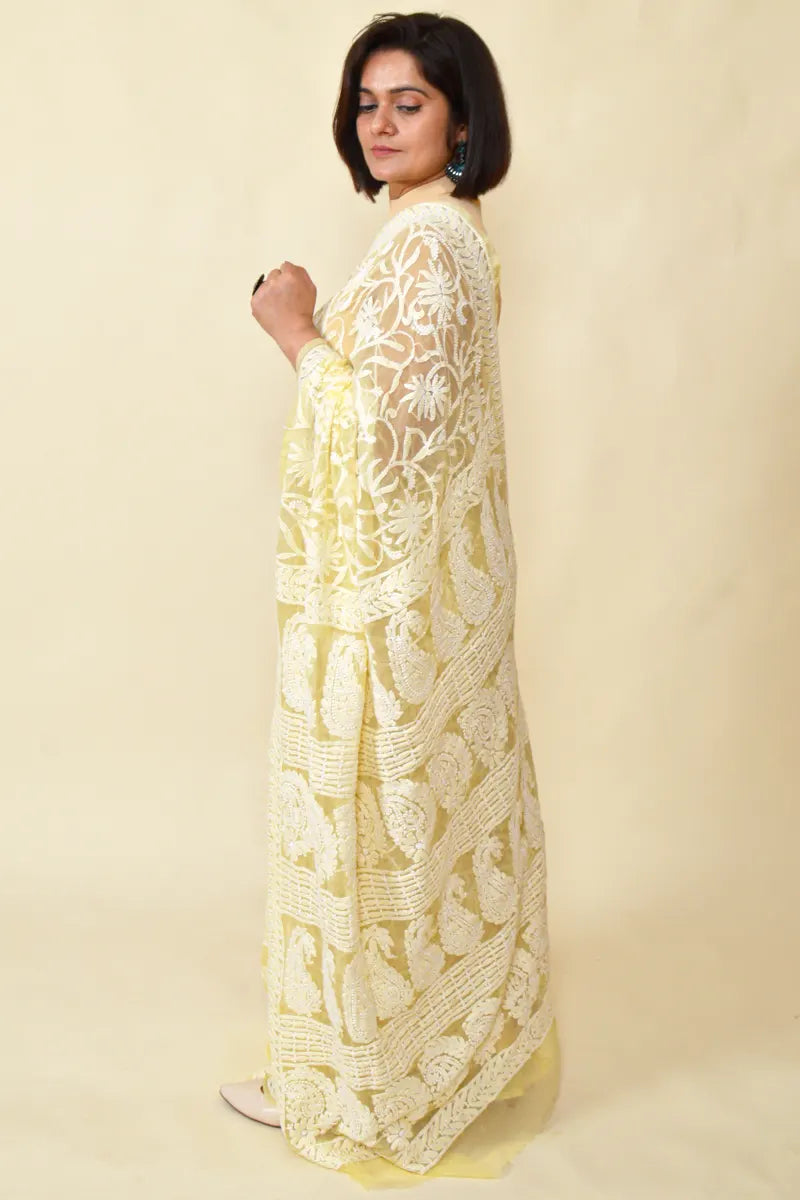 Fabnuma Handcrafted Fawn Georgette Chikankari Saree-Blouse - Fabnuma