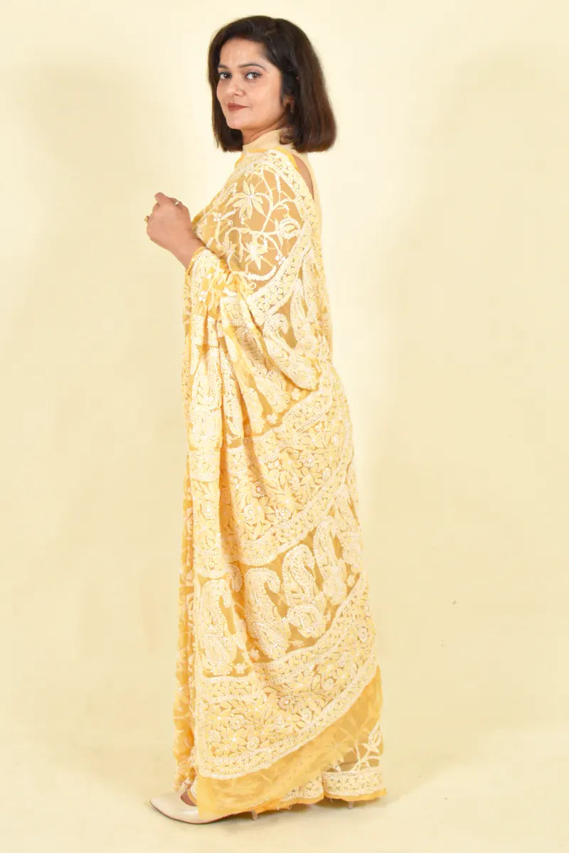 Fabnuma Handcrafted Fawn Georgette Chikankari Saree-Blouse - Fabnuma