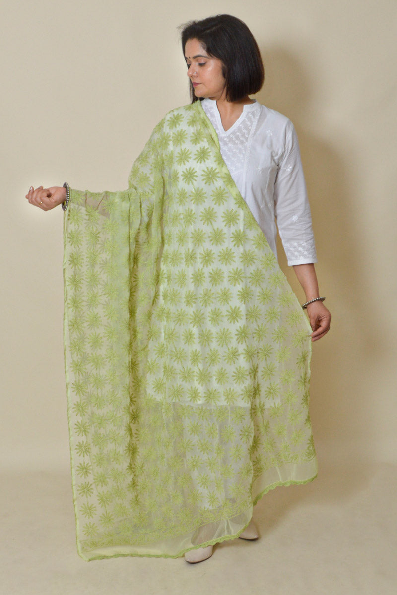 Fabnuma Handcrafted Light Green Georgette Allover Tepchi Chikankari Dupatta - Fabnuma