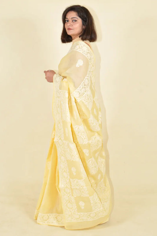 Fabnuma Handcrafted Fawn Cotton Chikankari Saree-Blouse - Fabnuma