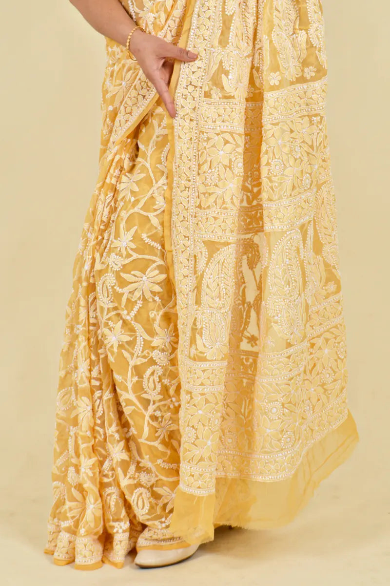 Fabnuma Handcrafted Fawn Georgette Chikankari Saree-Blouse - Fabnuma