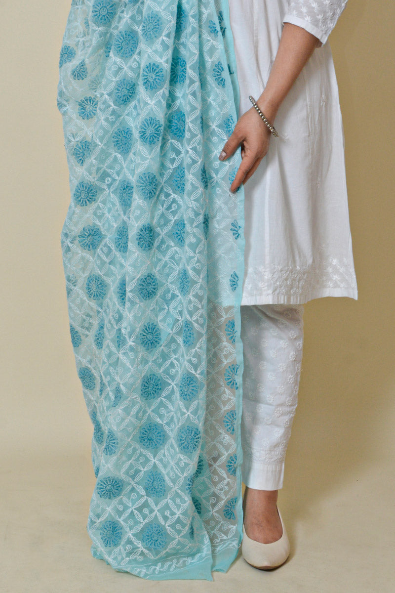 Fabnuma Handcrafted Sky Blue Georgette Allover Tepchi Chikankari Dupatta - Fabnuma