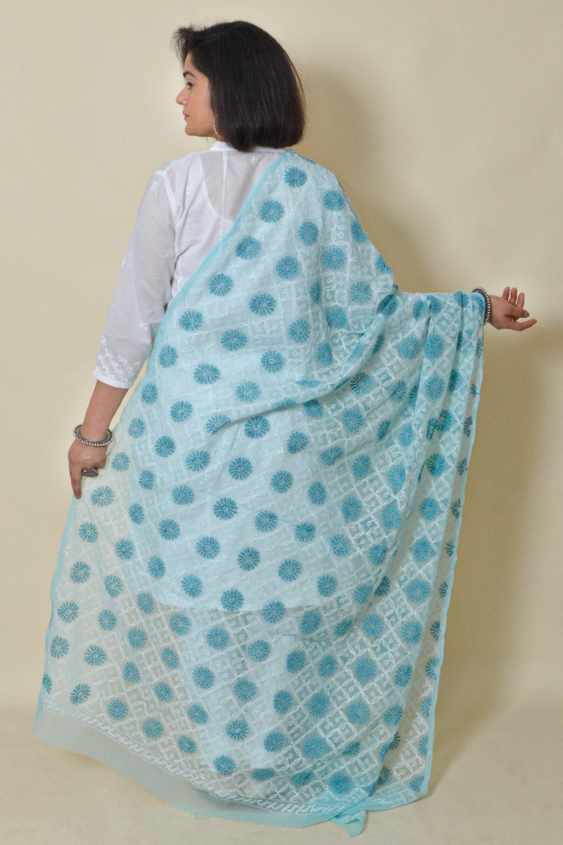 Fabnuma Handcrafted Sky Blue Georgette Allover Tepchi Chikankari Dupatta - Fabnuma