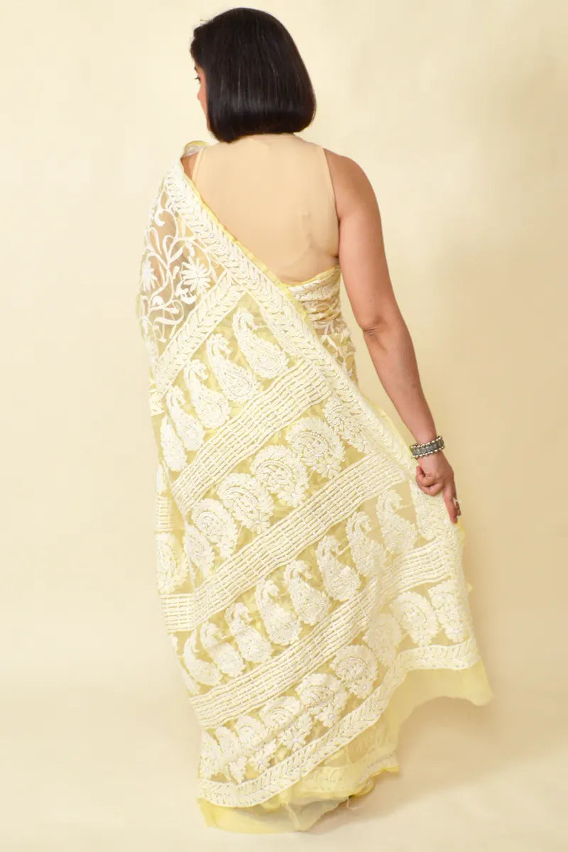 Fabnuma Handcrafted Fawn Georgette Chikankari Saree-Blouse - Fabnuma